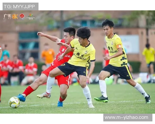 职业足球与业余足球的差异与发展趋势探讨